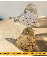 Chickadee Glass Bird Pair Gift Set