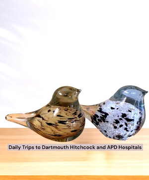 Chickadee Glass Bird Pair Gift Set