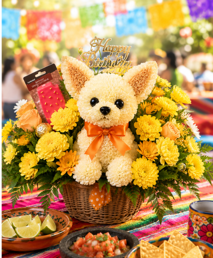Chiquito the Birthday Chihuahua™ Call Us for Faster Service & Daily Specials: (915) 303-8500 Text Us to Order Anytime: (915) 505-3708 Your trusted source for Flowers & Delivery in El Paso TX 