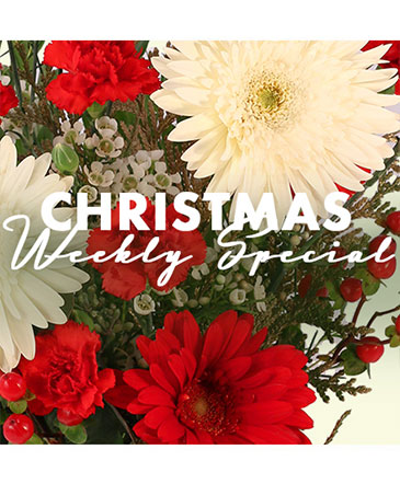 Christmas Arrangement Designer's Choice in Estero, FL | Estero Blooms