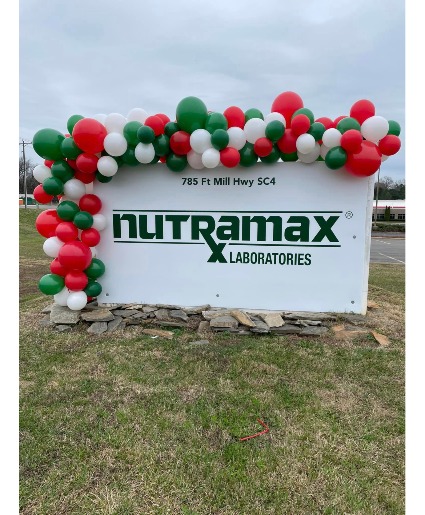 Christmas Balloon Garland  Balloon Garland 