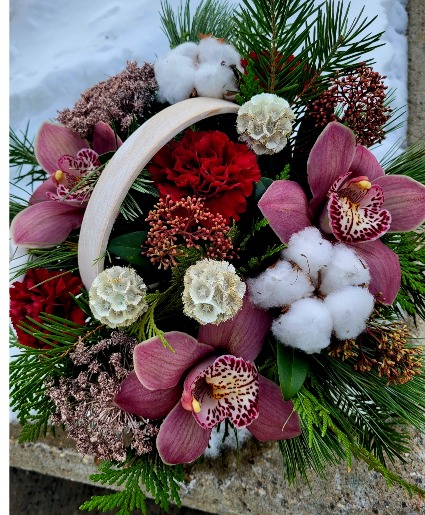 orchid basket 