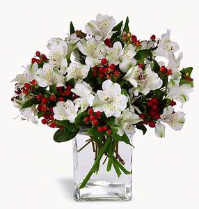 Christmas Bliss Floral Design