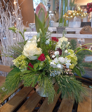 Winter Special Premium