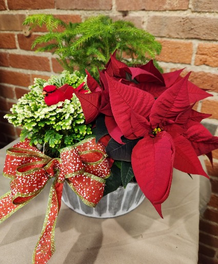 Christmas Combo Planter 