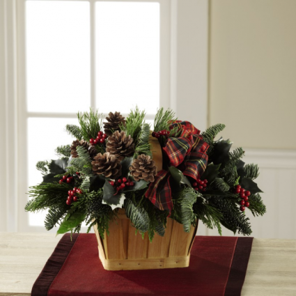 Christmas Coziness Christmas