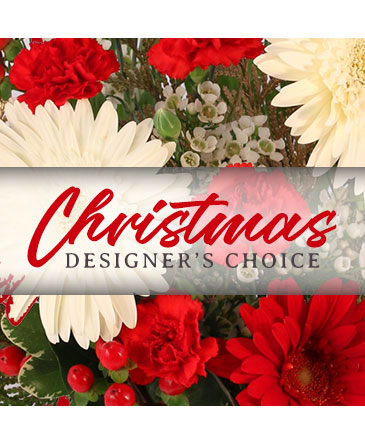 Christmas Designer's Choice Flower Arrangement in Philadelphia, PA | QA Test Account