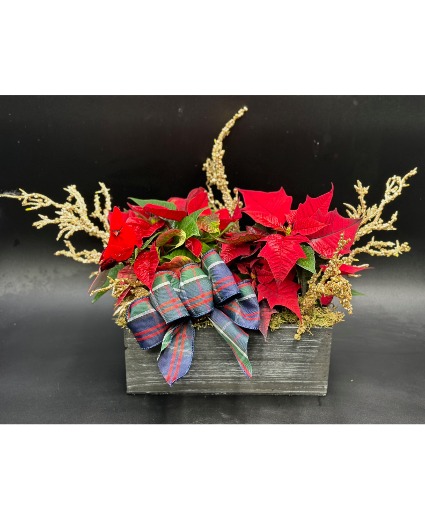 Christmas Dish Garden Custom Designers Choice