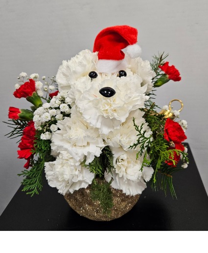 Christmas dogy Christmas 