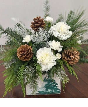 Christmas Evergreen  