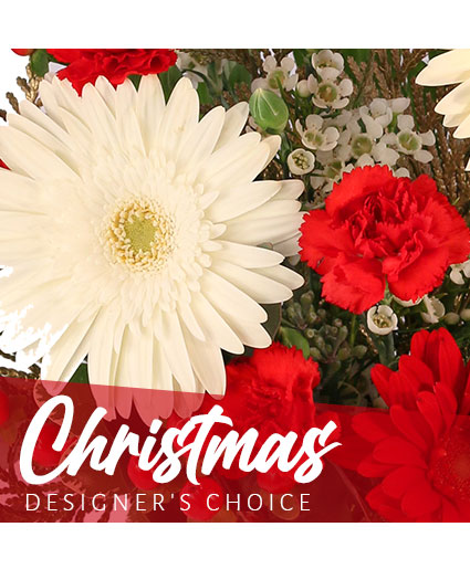 Christmas Flowers Designer's Choice