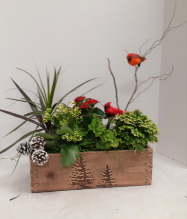 Christmas for the Birds 