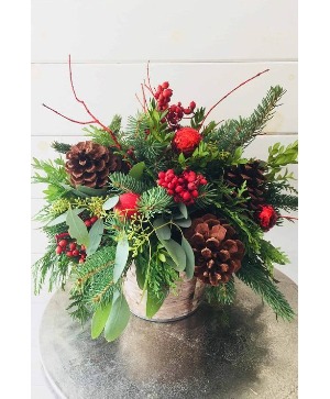  Christmas forest 