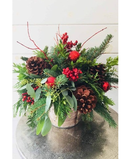  Christmas forest 