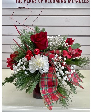 Christmas Joy  Christmas