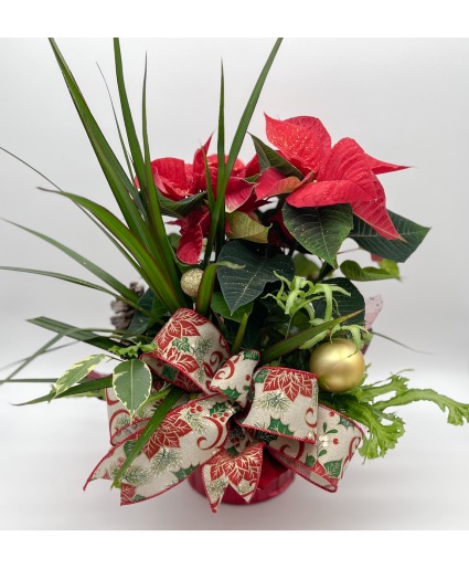 Christmas Planter Basket, sorry sold out! 