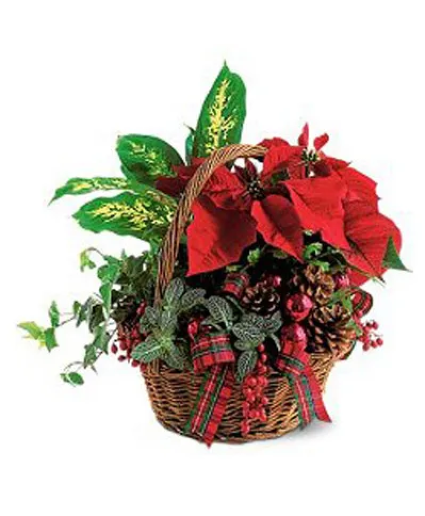 Christmas Planter Christmas