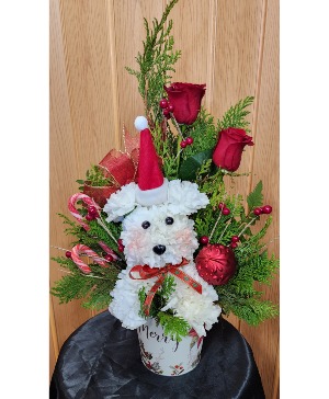 Christmas Pup  Carnation Puppy & Roses a