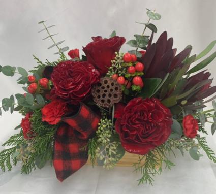 Christmas Rose 