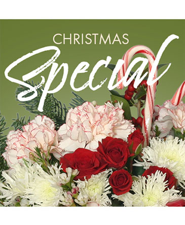 Christmas Special Designer's Choice in San Diego, CA | Jackie Jo Flowers