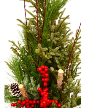 Christmas Spruce Planter * Styles May Vary*