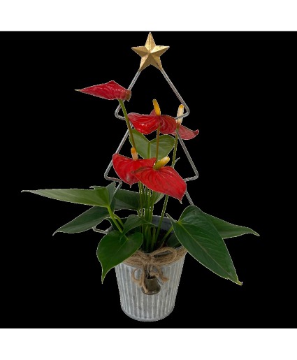 Christmas Tin Tree 
