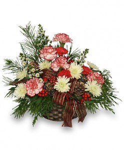 Christmas Traditions Long lasting Greens and Blooms