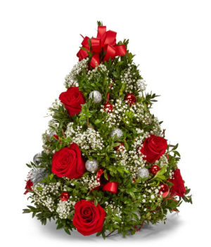 Oh Christmas Tree  