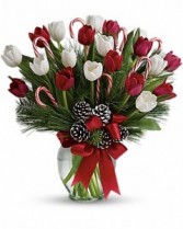 CHRISTMAS TULIPS Vase Arrangement