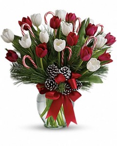 CHRISTMAS TULIPS Vase Arrangement