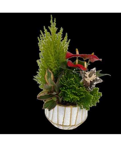 Christmas White Gold Stripped Tropical 