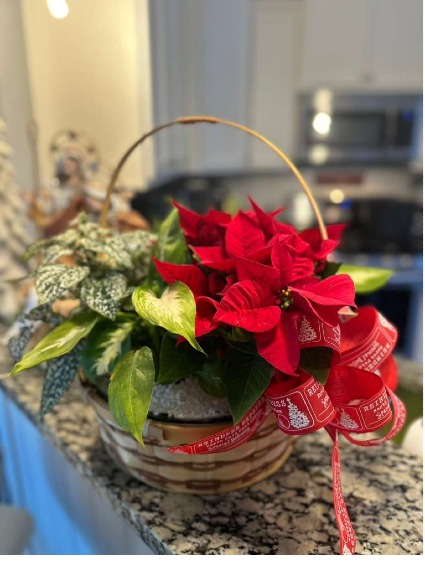 Chritsmas Basket Basket