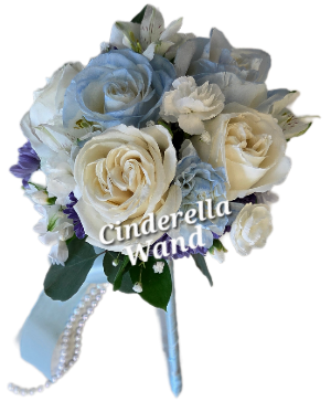 Cinderella wand Prom 