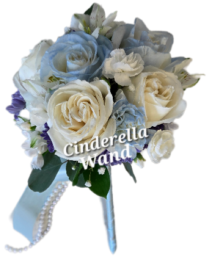 Cinderella wand Prom 