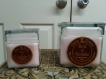 Circle E Candles  gift