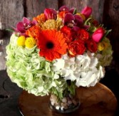Circus Low Arrangement