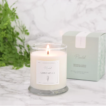 Citronella Planted Candle