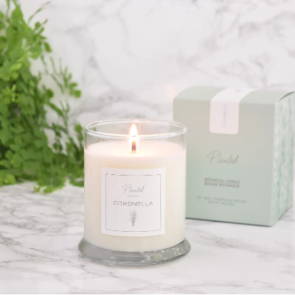 Citronella Planted Candle