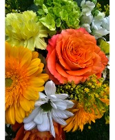 Citrus Blend Arrangement