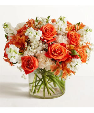 Citrus bouquet   Fall 