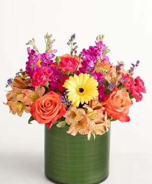 Citrus Coast  yellow orange hot pink summer/spring 