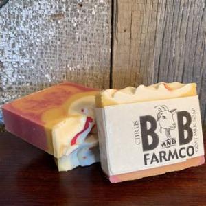 Citrus  Goat Milk Soap