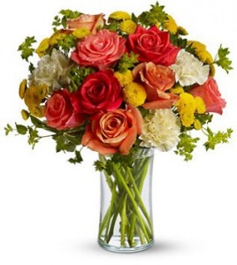 Citrus Kissed Item Number:T157-1A