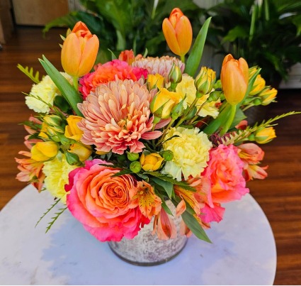 Citrus Love 