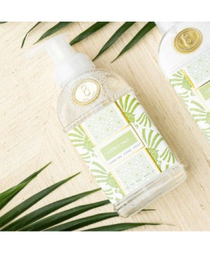 Citrus Sage Foaming Hand Soap 