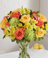 CITRUS SUNSHINE 