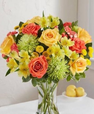 CITRUS SUNSHINE 