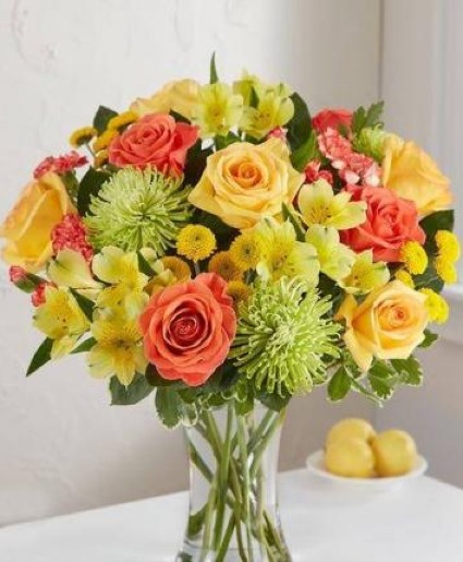 CITRUS SUNSHINE 
