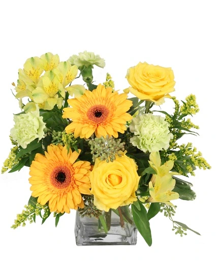 Citrus Symphony Floral Arrangement in New York, NY - Floral Charm