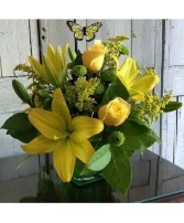 Citrus Zest CFP18-3A